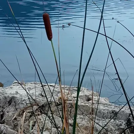 Apartman Ferienhaus In Gracac (Zadar)